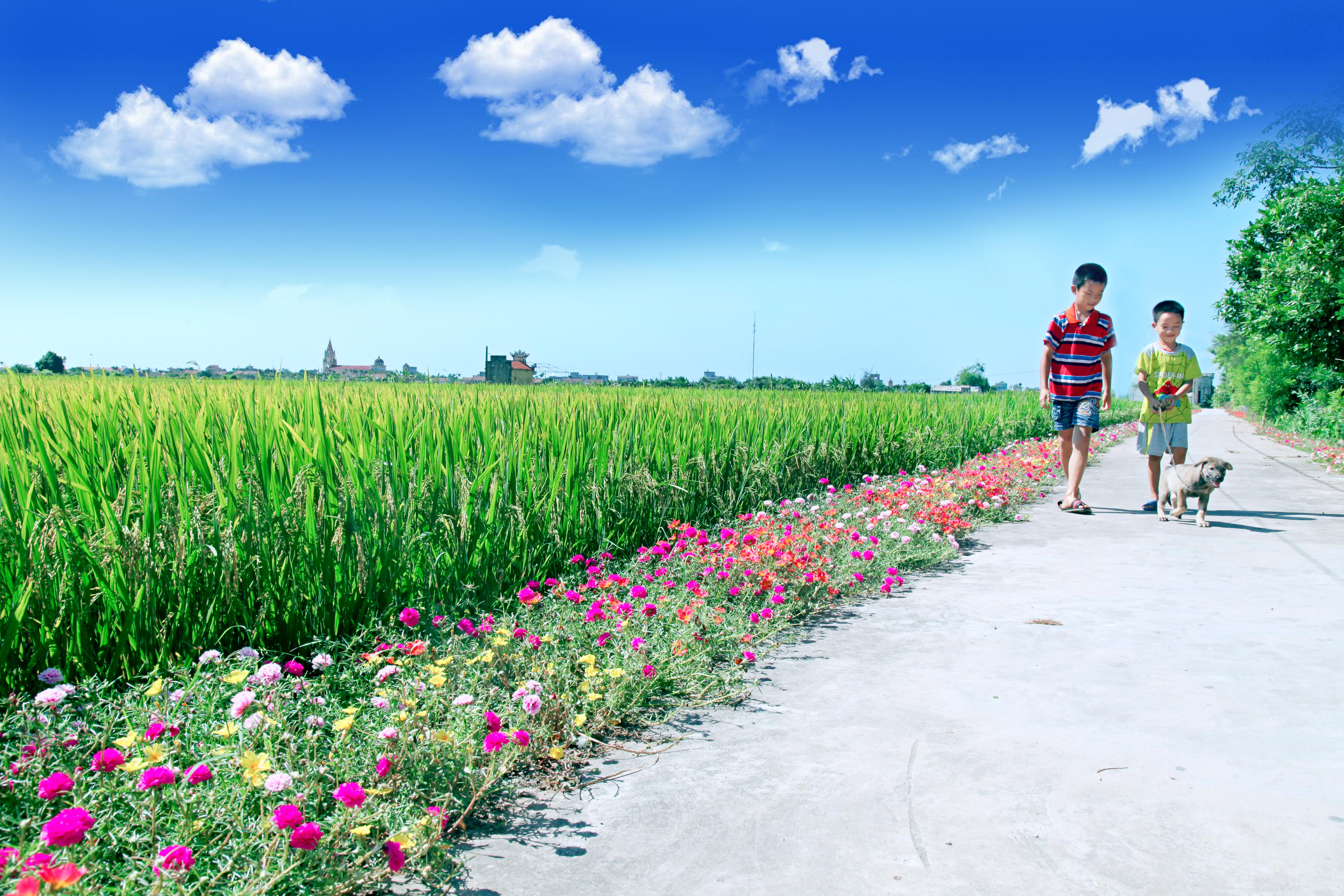 Bài 1: Diện mạo văn hóa nông thôn mới khởi sắc  